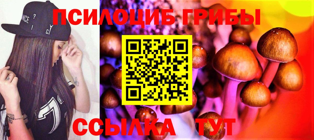 Галлюциногенные грибы Psilocybe  Вход с VPN  Алатырь 