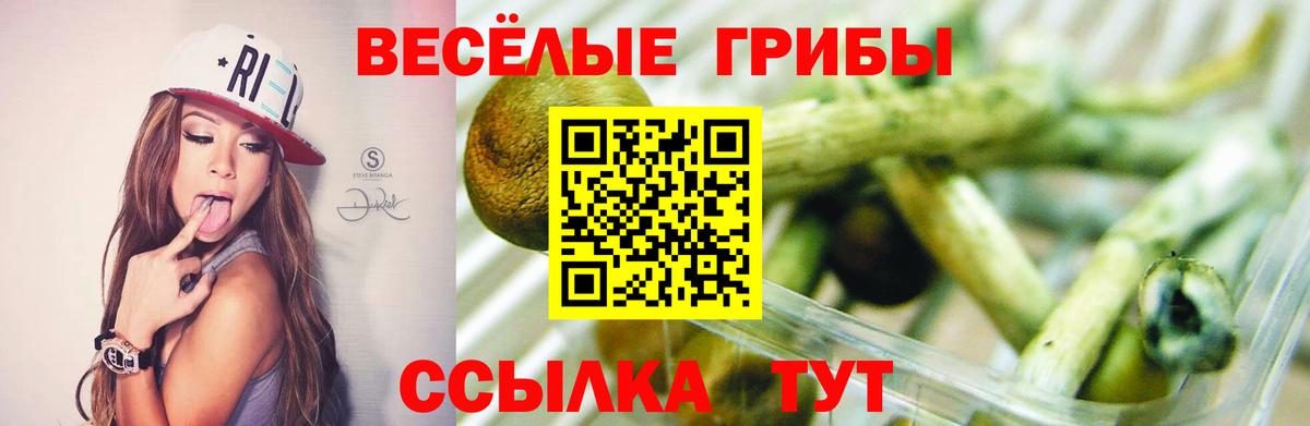 Галлюциногенные грибы Magic Shrooms Алатырь