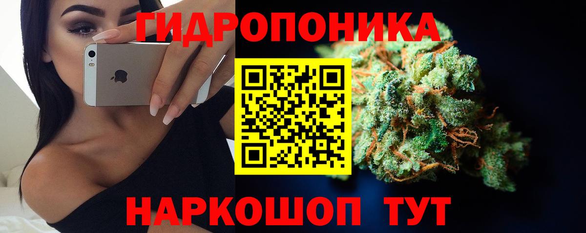 Каннабис Amnesia Алатырь